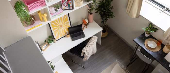 Classic View Studio 1 classic view studio