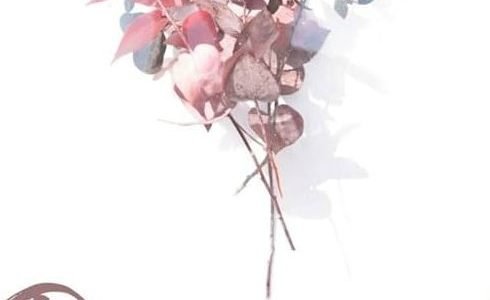 Days & Dreams 1 days dreams