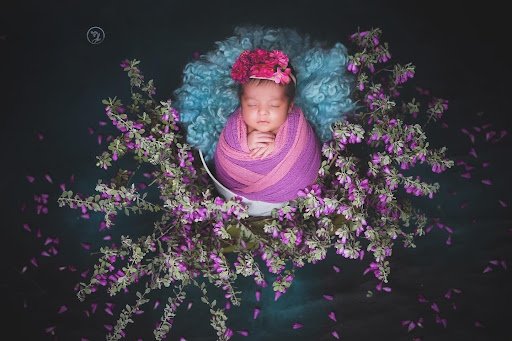 Jhanwi Creative Studio