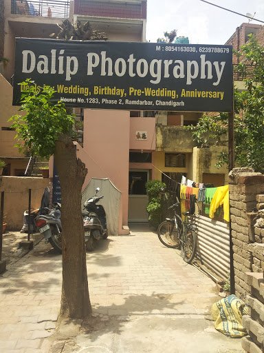 DALIP PHOTOGRAPHY