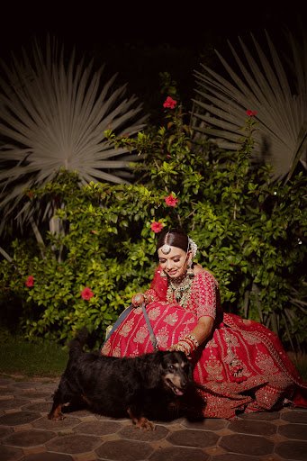 Kalpesh Sharma Photography- Wedding Photographer