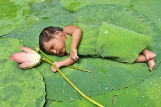 Jai Baby Photography Studio Jai Baby Photography Studio