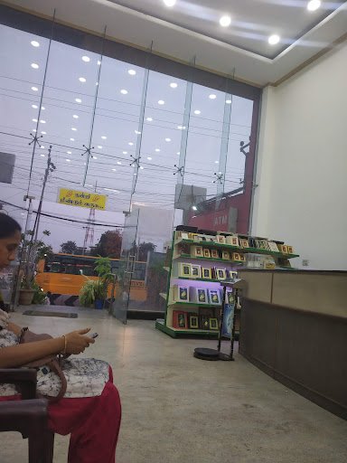 M R Colour Lab & Studio