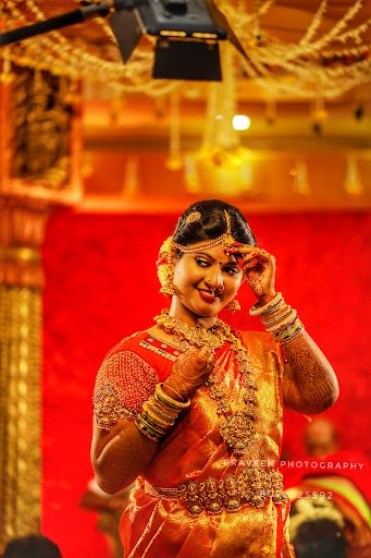 Shutter Lights Photography