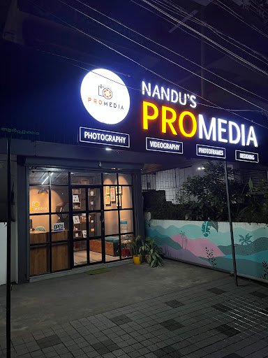 Nandu's promedia Nandu's promedia