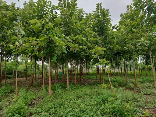 DSK Farms and Studios