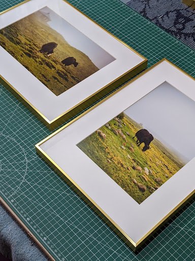 Darkroom Productions Nagaland Darkroom Productions Nagaland