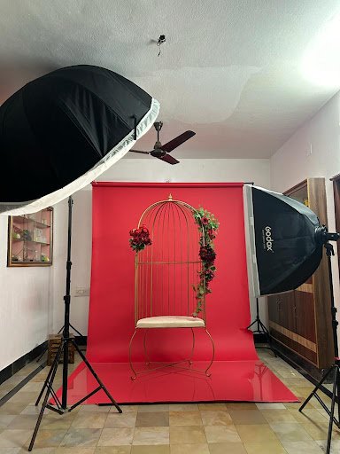 Baby Portraits Baby Portraits