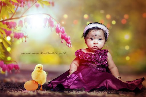 AMAZING WORLD PHOTOGRAPHY AMAZING WORLD PHOTOGRAPHY