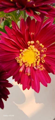 The Dev Photography | Wedding Photographer