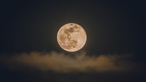 Varun Chaudhary (Photography Services) Varun Chaudhary (Photography Services)