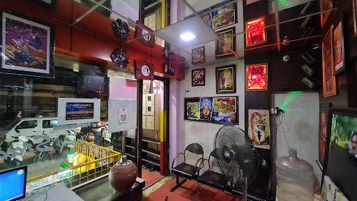 Padmashree Color Lab