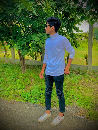 ANS Artistry ANS Artistry