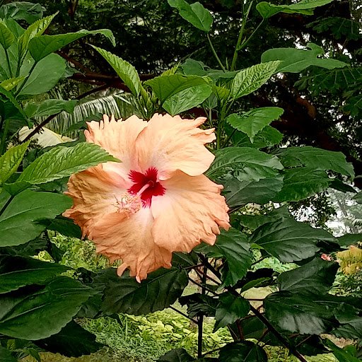 Arindam online Arindam online