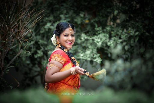 Picture Tree Studio Picture Tree Studio