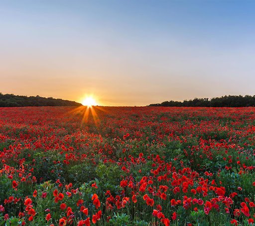 Star Mixing Studio Tonk