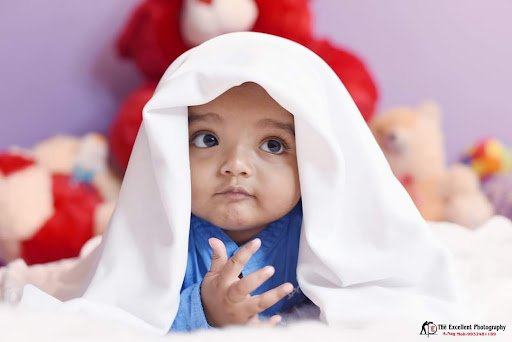 The Excellent Photography The Excellent Photography