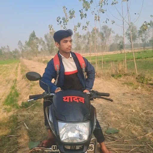 The Photogram The Photogram