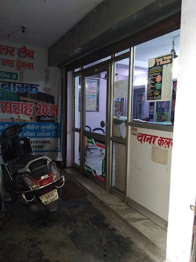 Dana Digital Color Lab Dana Digital Color Lab