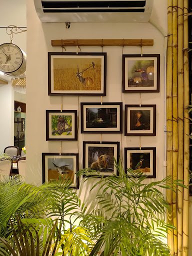 Gangaram photo colour studio