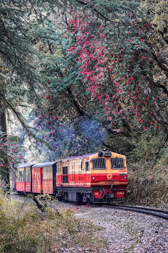 Vineet Sharma Photography