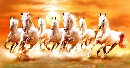 DIGITAL SHIVAM STUDIO DIGITAL SHIVAM STUDIO