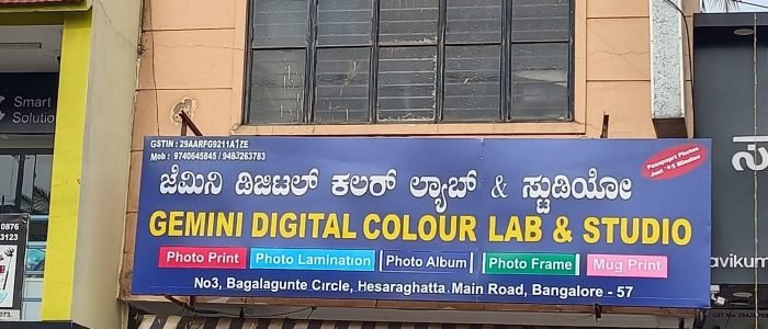 gemini digital colour lab
