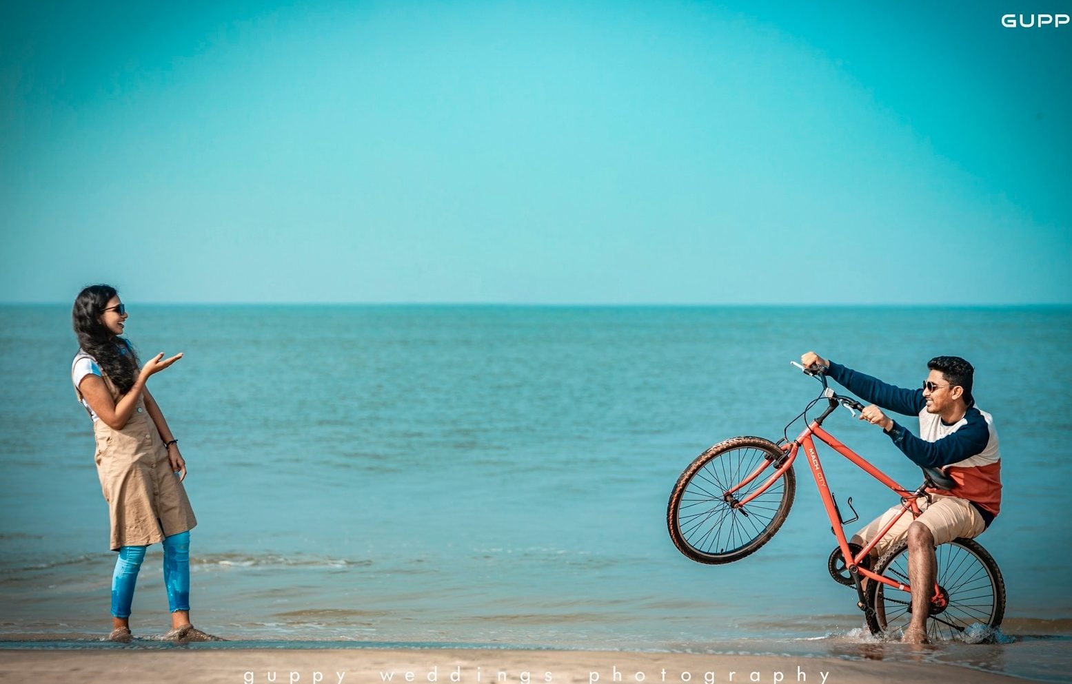 Guppy Weddings 8 guppy weddings