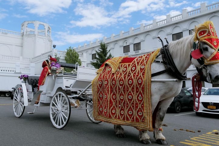 SUN PHOTO - (Bopal) Photo Studio in Ahmedabad, Kids Photography, Wedding Photographers & Cinematographer, Personalized Gifts 7 sun photo bopal photo studio in ahmedabad kids photography wedding photographers cinematographer personalized gifts