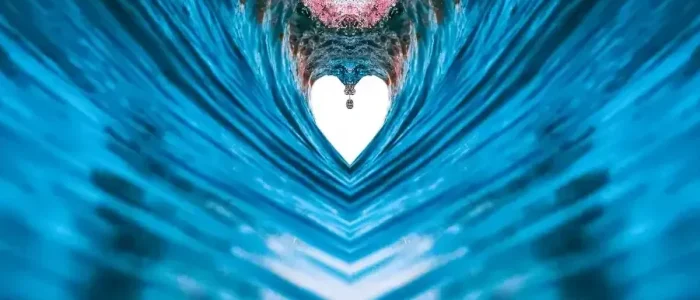 The Waves of Love 1 the waves of love